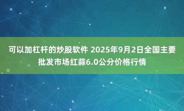 可以加杠杆的炒股软件 2025年9月2日全国主要批发市场红蒜6.0公分价格行情